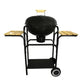 Kolenbarbecue Michigan Ø38 Cm