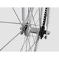Fixed Gear Bike Wit