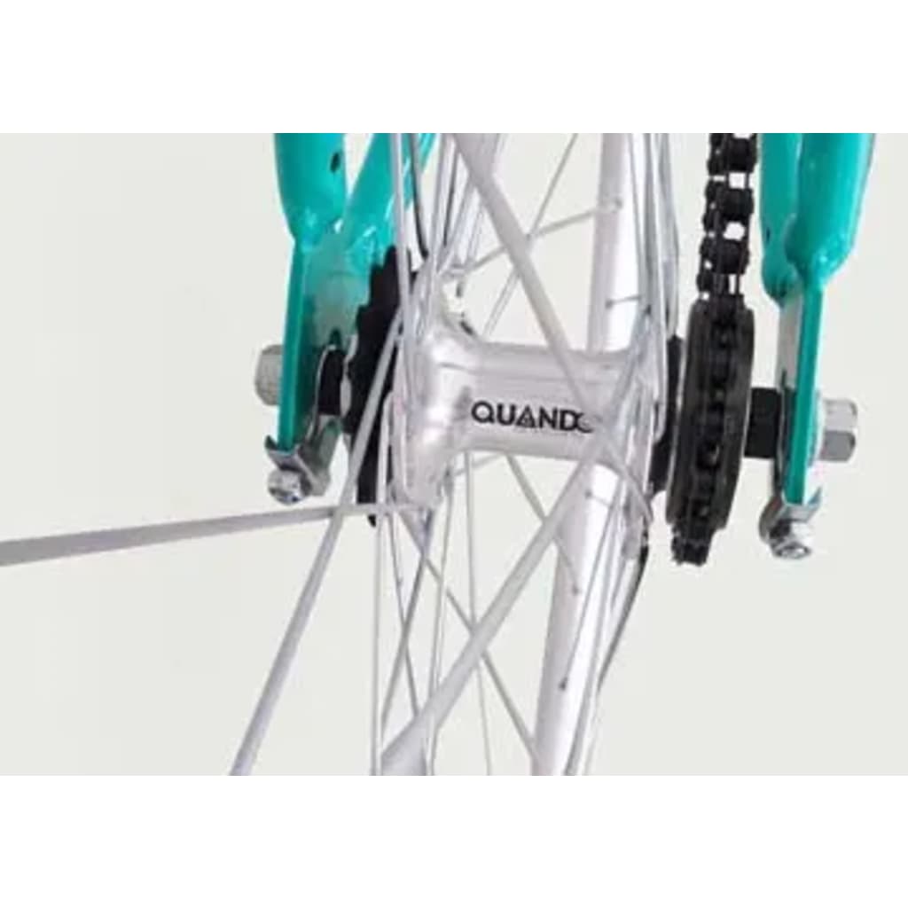 Fixed Gear Bike Groen