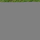 Kunstgras 1 X 15 M / 20 - 25 Mm Groen