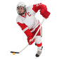 Pure2Improve Ijshockey Rebounder 65 Cm P2I120000