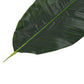 Kunstbladeren Banaan 5 St 62 Cm Groen
