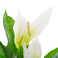 Kunstplant Met Pot Anthurium 90 Cm Wit