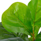 Kunstplant Met Pot Vioolbladplant 45 Cm Groen