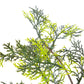 Kunstplant Met Pot Cipresboom 90 Cm Groen