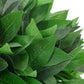 Kunstplant Met Pot Laurierboom 70 Cm Groen