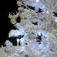 Kerstboom Sneeuwend Met Paraplubasis 75 Cm Wit