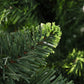 Kunstkerstboom Met Dennenappels 180 Cm Groen