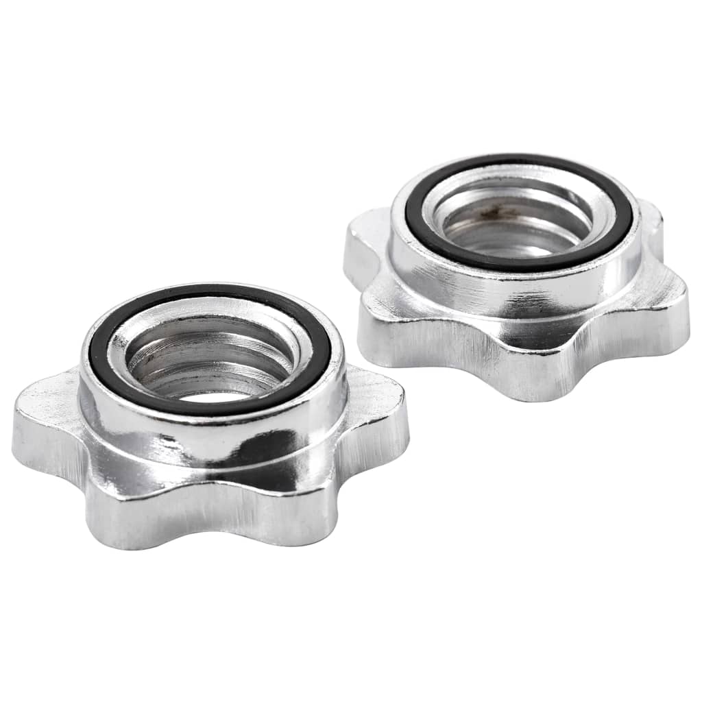 Halterstangen 2 St 3X35 Cm Staal Zilverkleur