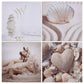 Wandprintset Schelp 80X80 Cm Canvas Meerkleurig