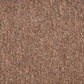Trapmatten 15 St 56X17X3 Cm Bruin