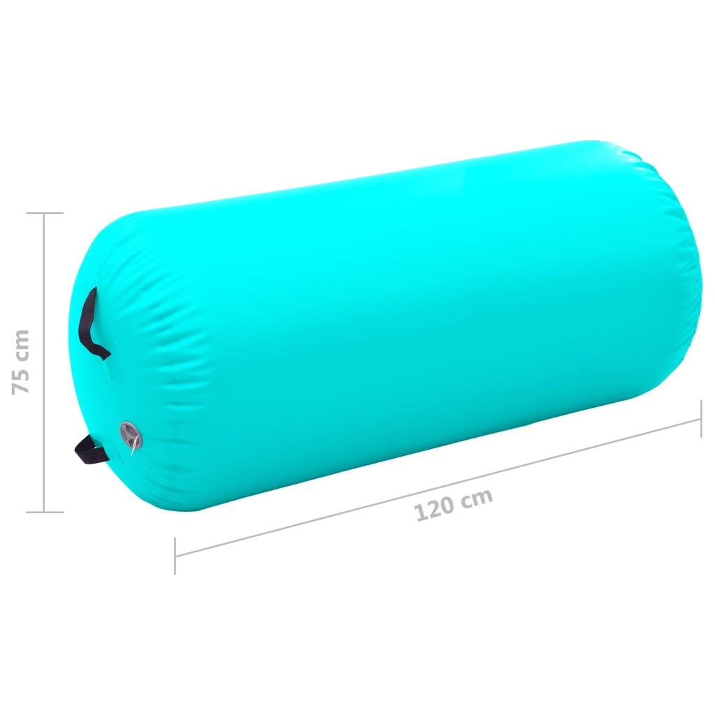 Gymnastiekrol Met Pomp Opblaasbaar 120X75 Cm Pvc Groen