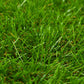 Kunstgras 0,5X5 M/40 Mm Groen