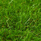 Kunstgras 1X8 M/40 Mm Groen