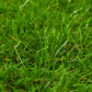 Kunstgras 1,33X5 M/40 Mm Groen