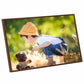 Fotolijsten 5 St Voor Tafel 10X15Cm Mdf Bronskleurig