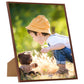 Fotolijsten 10 St Voor Wand Of Tafel 20X20 Cm Mdf Bronskleurig