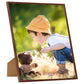 Fotolijsten 5 St Voor Tafel 30X30Cm Mdf Bronskleurig