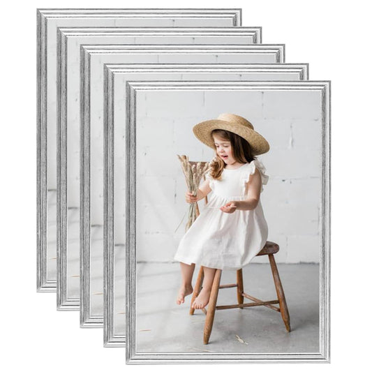Fotolijsten 5 St Voor Wand Of Tafel 29,7X42 Cm Zilverkleurig