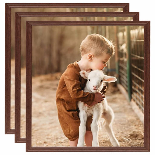 Fotolijsten 3 St Voor Wand Of Tafel 50X50 Cm Mdf Bruin