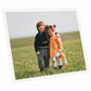 Fotolijsten 5 St Voor Wand Of Tafel 40X50 Cm Mdf Wit