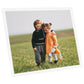 Fotolijsten 3 St Voor Wand 50X60 Cm Mdf Wit