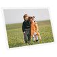 Fotolijsten 5 St Voor Wand Of Tafel 70X90 Cm Mdf Wit