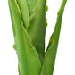 Kunstboom Met Pot Banaan 160 Cm Groen