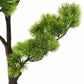 Kunstplant Met Pot Pinus Bonsai 60 Cm Groen