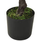 Kunstplant Met Pot Pinus Bonsai 60 Cm Groen