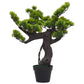 Kunstplant Met Pot Pinus Bonsai 70 Cm Groen