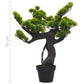 Kunstplant Met Pot Pinus Bonsai 70 Cm Groen