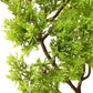 Kunstplant Met Pot Cipres Bonsai 60 Cm Groen