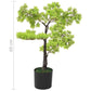 Kunstplant Met Pot Cipres Bonsai 60 Cm Groen