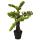 Kunstplant Met Pot Cipres Bonsai 60 Cm Groen