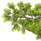 Kunstplant Met Pot Cipres Bonsai 60 Cm Groen
