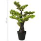 Kunstplant Met Pot Cipres Bonsai 60 Cm Groen