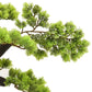 Kunstplant Met Pot Cipres Bonsai 70 Cm Groen