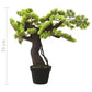 Kunstplant Met Pot Cipres Bonsai 70 Cm Groen