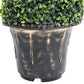 Kunstplant Met Pot Buxus Spiraal 100 Cm Groen