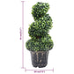 Kunstplant Met Pot Buxus Spiraal 59 Cm Groen