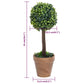 Kunstplanten Met Pot 2 St Buxus Bolvorming 41 Cm Groen