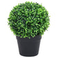 Kunstplanten Met Pot 2 St Buxus Bolvorming 27 Cm Groen