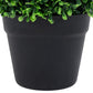 Kunstplanten Met Pot 2 St Buxus Bolvorming 27 Cm Groen