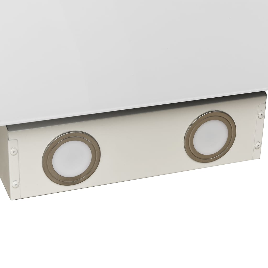 Wandafzuigkap 60 Cm Staal En Gehard Glas Wit