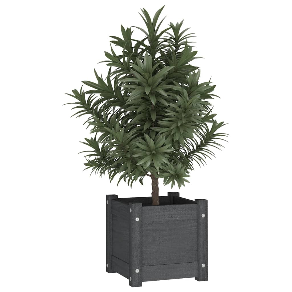 Plantenbakken 2 St 31X31X31 Cm Massief Grenenhout Grijs