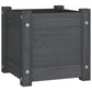 Plantenbakken 2 St 31X31X31 Cm Massief Grenenhout Grijs