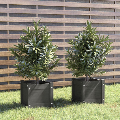 Plantenbakken 2 St 31X31X31 Cm Massief Grenenhout Grijs