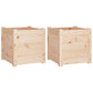 Plantenbakken 2 St 40X40X40 Cm Massief Grenenhout