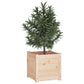 Plantenbakken 2 St 40X40X40 Cm Massief Grenenhout